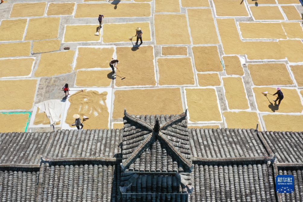 龙都国际游戏娱乐手机版
